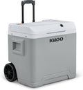Igloo Glacière électrique, 330 ml, 12V, 230V, 20°C