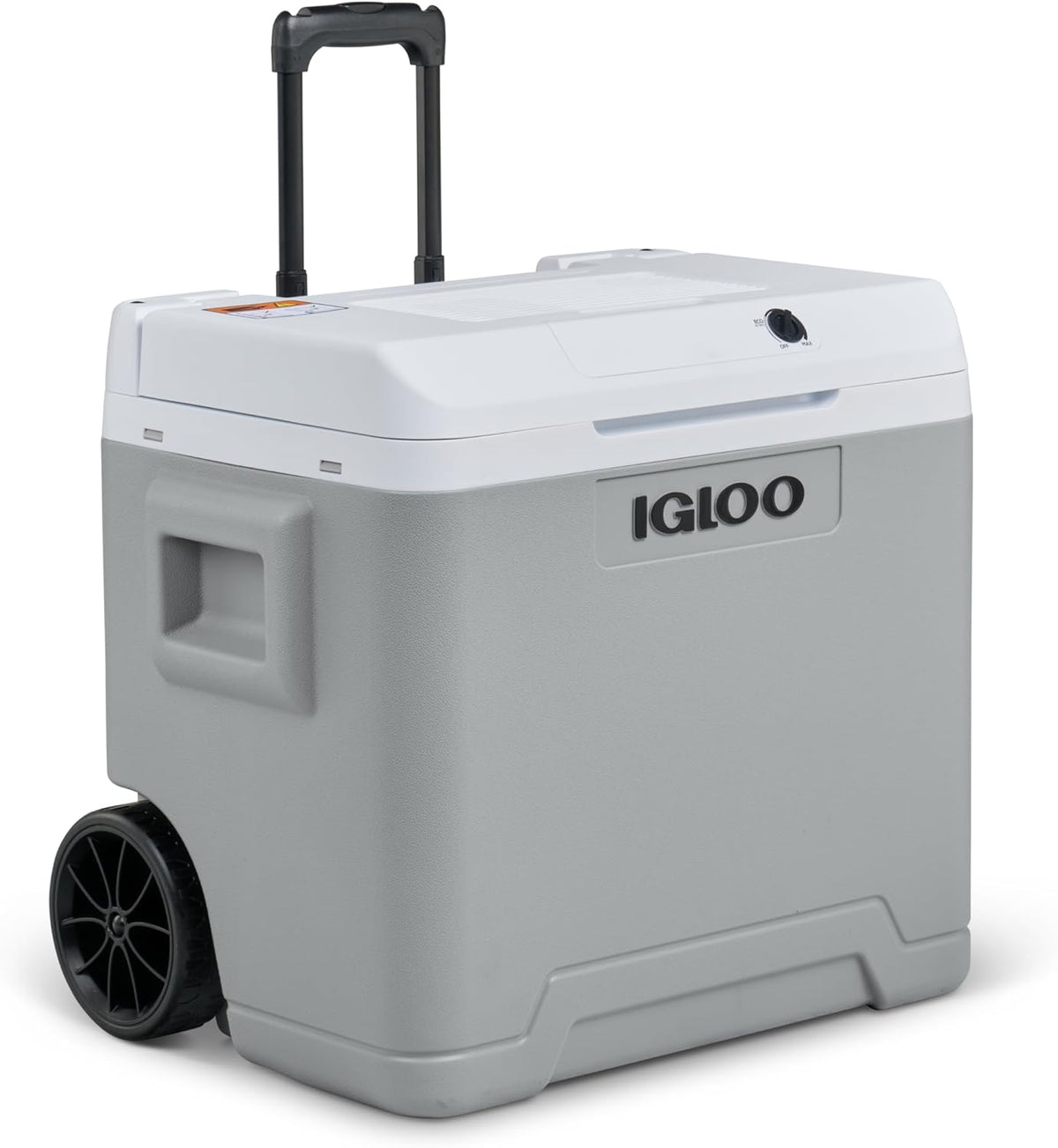 Igloo Glacière électrique, 330 ml, 12V, 230V, 20°C